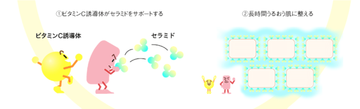 b.glen(ビーグレン)の保湿型ビタミンC誘導体とセラミドのイラスト