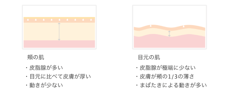 頬と目元の肌の違い