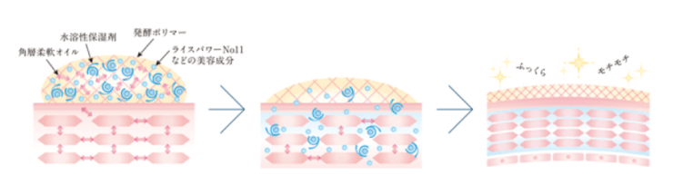 肌潤化粧水のモイストリレー効果の画像