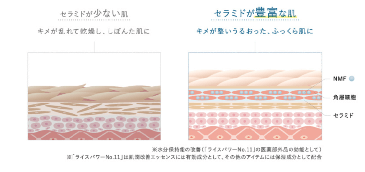 米肌(まいはだ)のセラミド不足の画像